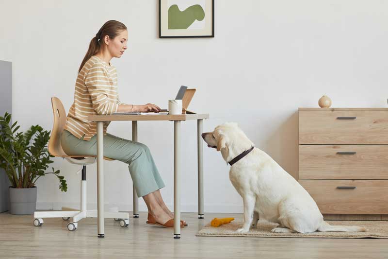 woman working at desk