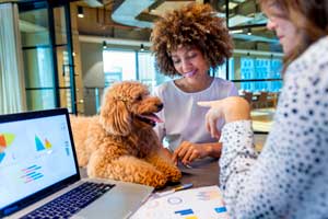 Best HRIS Systems & Software