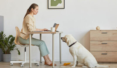 woman working remote with doggy - B2B Suggest logo