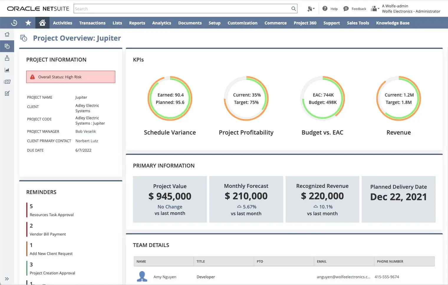 oracle netsuite project management screenshot